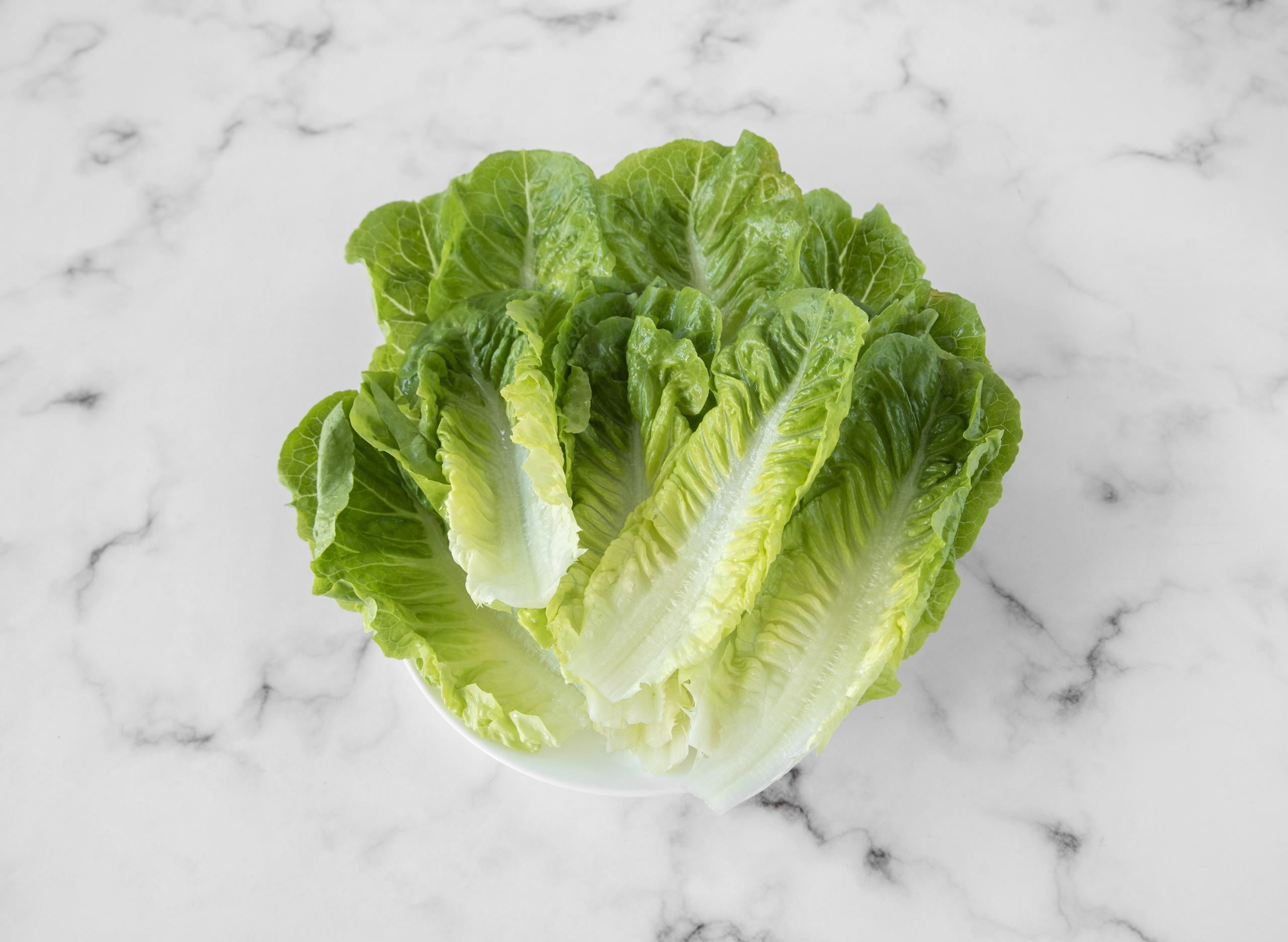 Lettuce Image