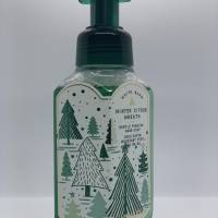 Bath and Body Works Hand Foaming Soap Winter Citrus 259mL image