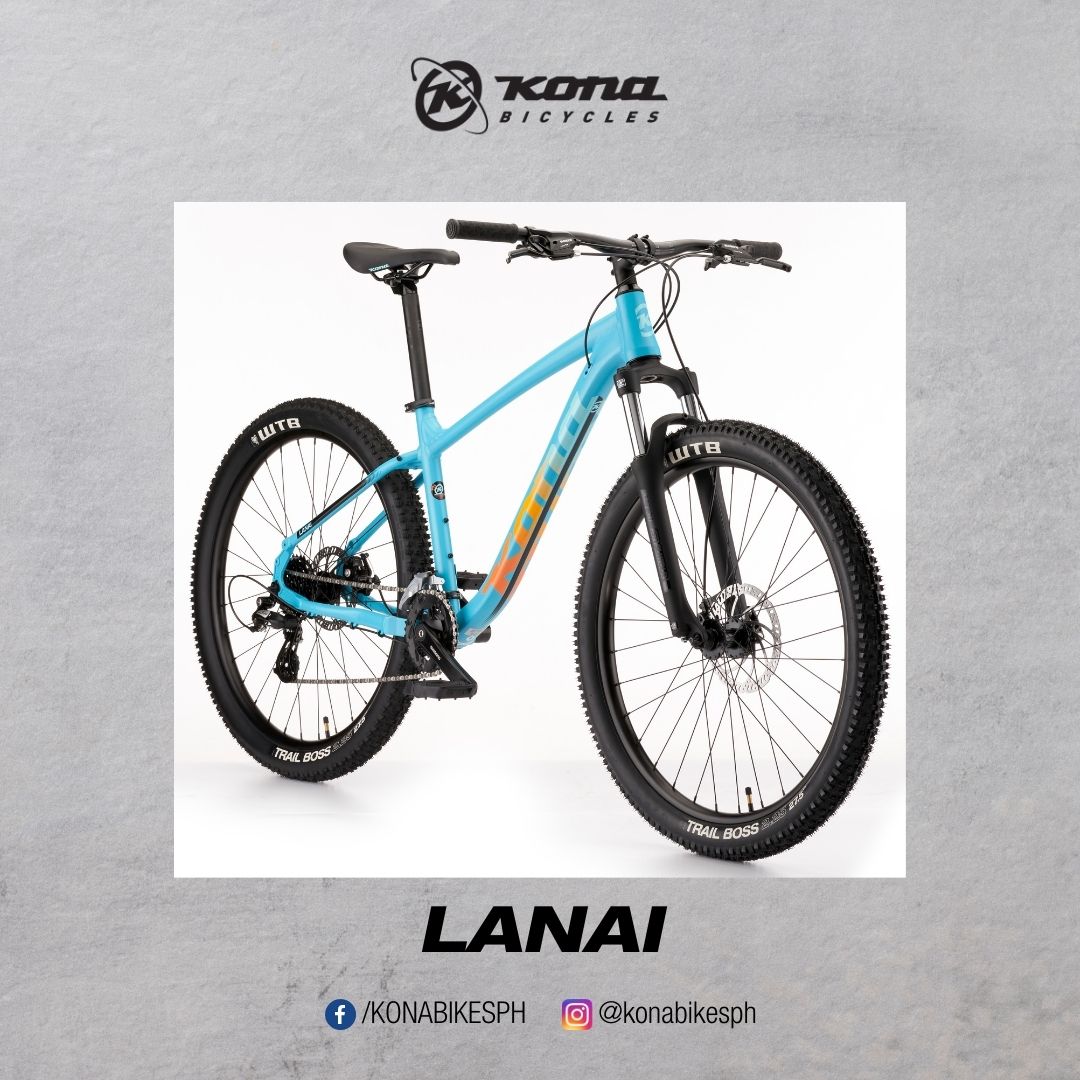 LANAI 27.5X16.5 MD 16SP Satin Dirty Cyan w/ Gloss Tropicana Fade Decals KONA 2022 image